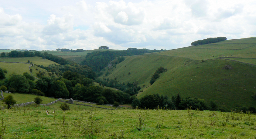 Mill Dale Mill Dale